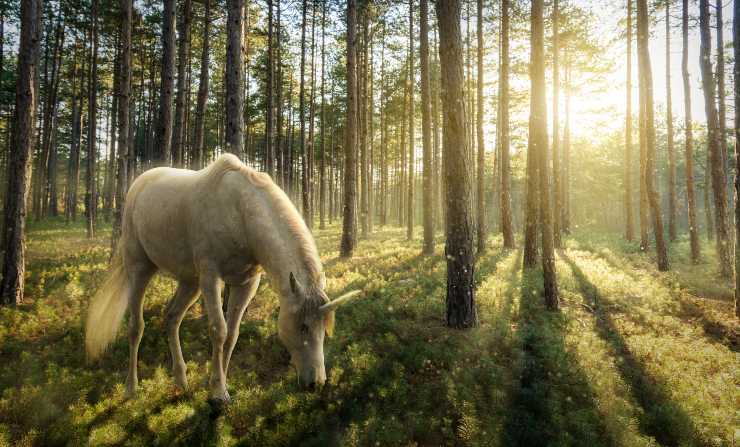 La leggenda sugli unicorni