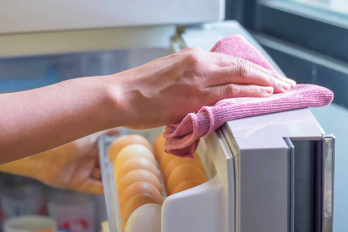 Questa parte del frigorifero non viene mai pulita: è un ricettacolo di muffe e batteri che entrano a contatto con gli alimenti