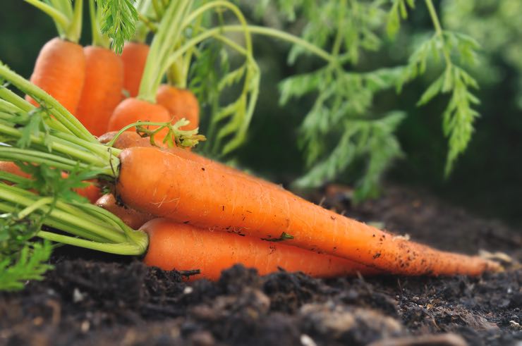 Proteggere la pelle dal sole con questo alimento