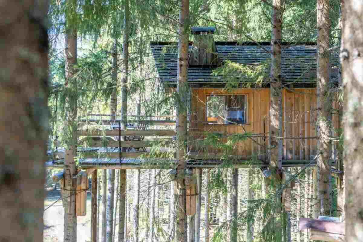In Francia è possiible andare in vacanza… sugli alberi! Lo splendido albergo immerso nella natura, proprio come nelle favole