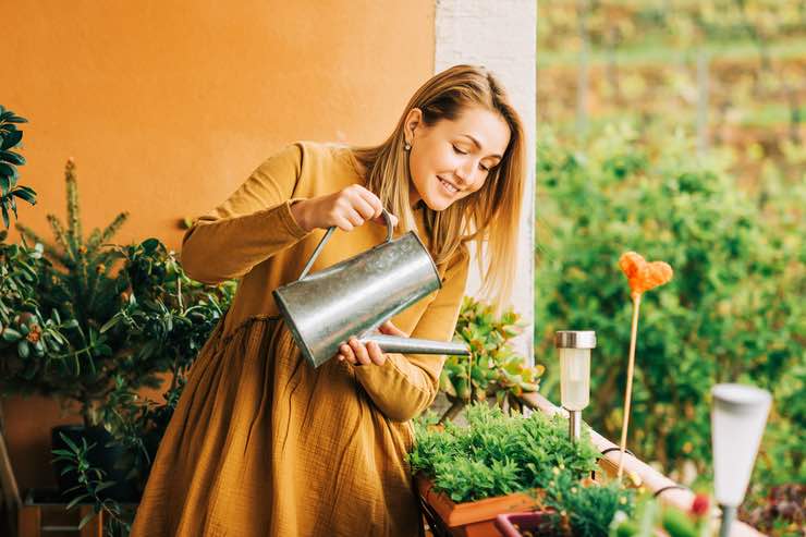 Fiori da piantare a settembre: tutti i consigli
