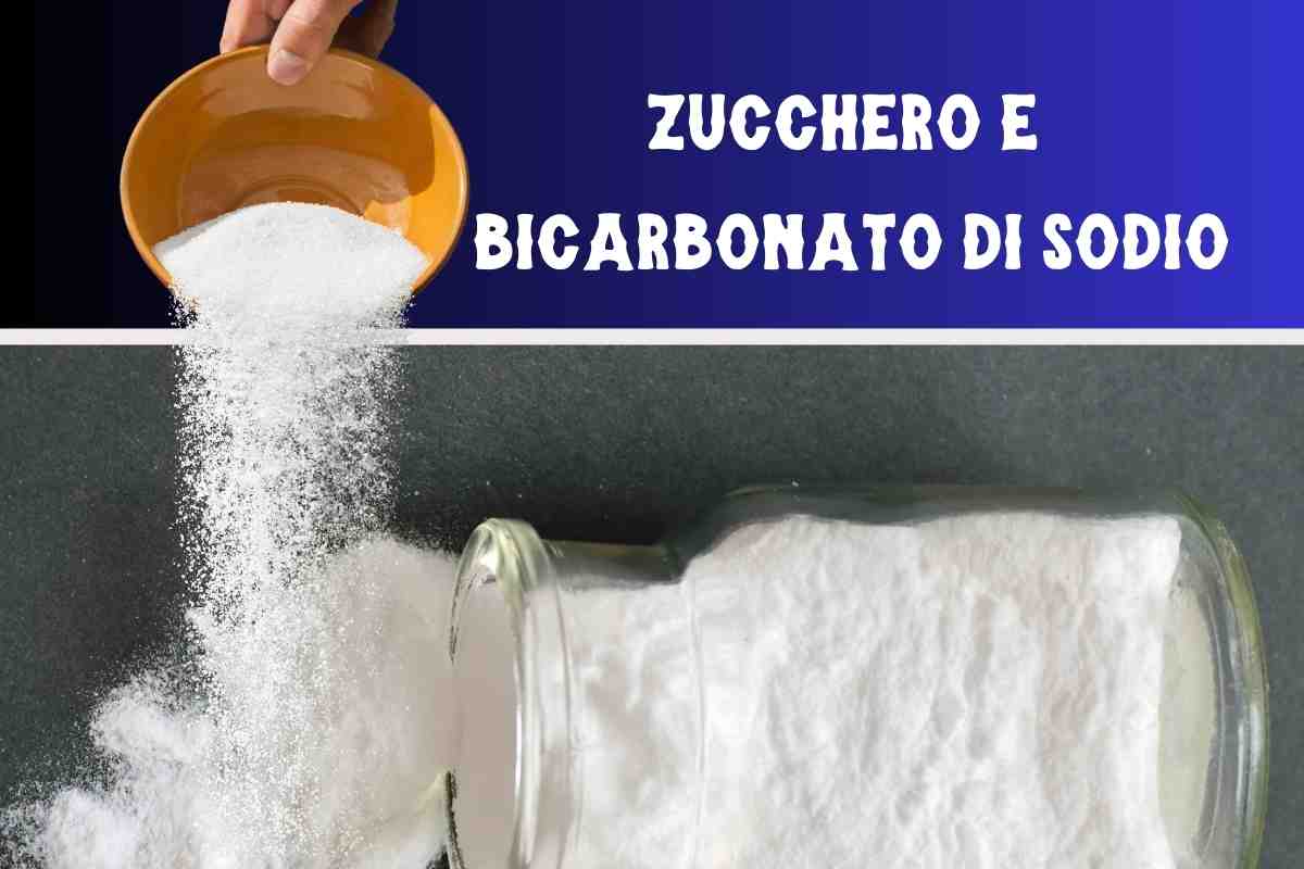 Formiche, bicarbonato e zucchero