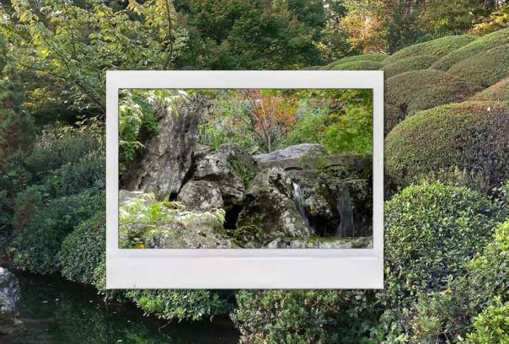 Giardino giapponese a Roma