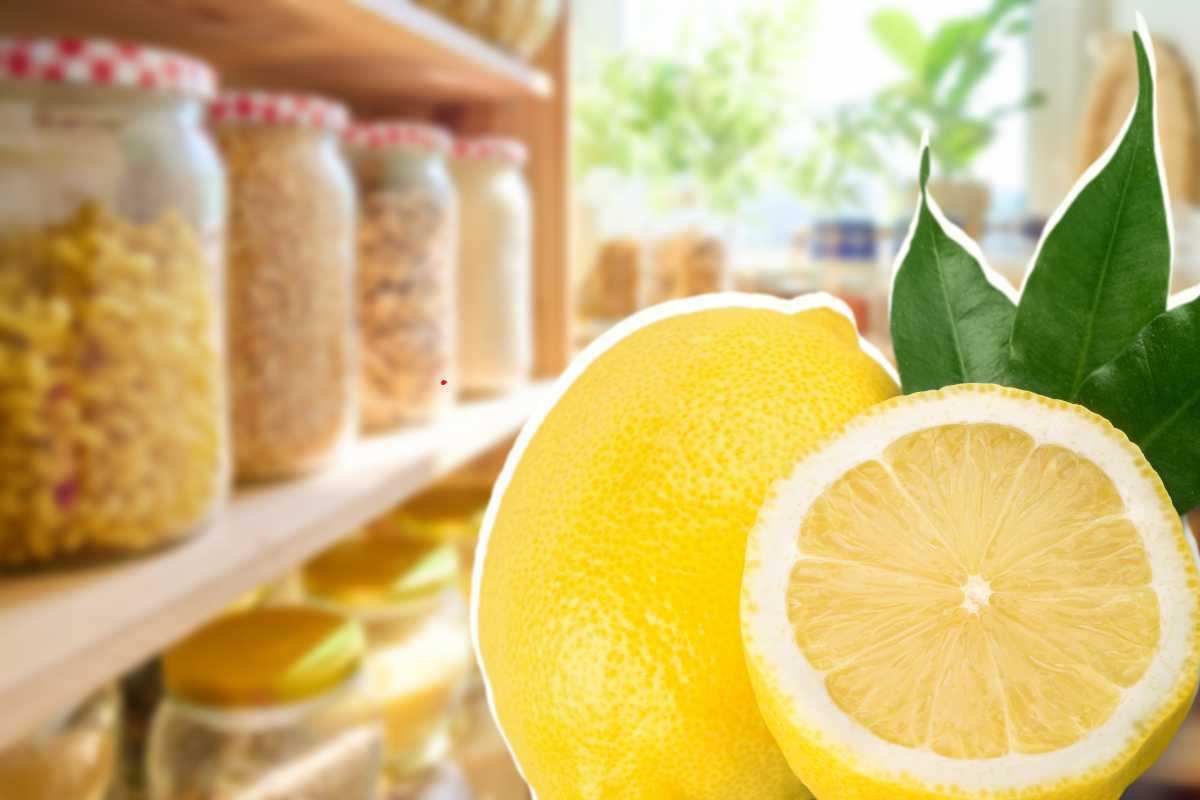 Nella dispensa di casa non può mai mancare un limone: così risparmi un botto!