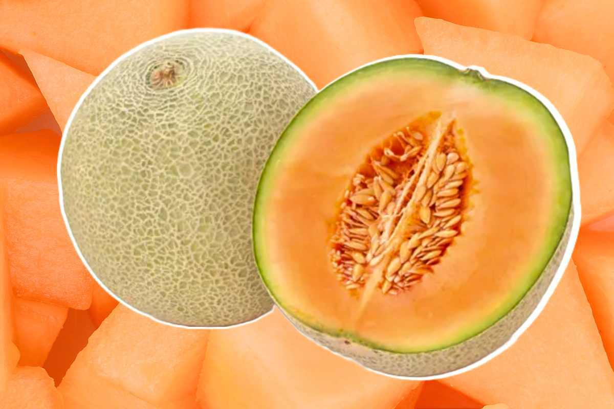 Melone: il frutto dell’estate