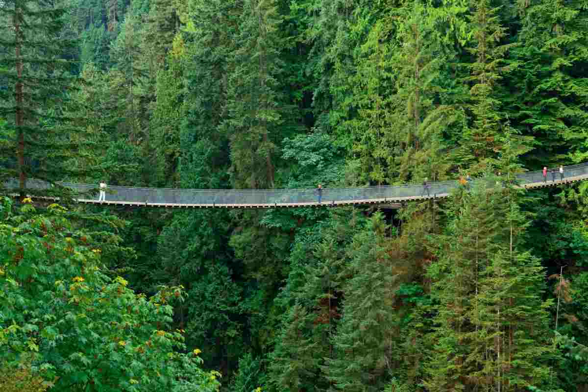 Sospesi nel vuoto ad una folle altezza e immersi nel verde: su questo ponte iconico è possibile (solo per veri coraggiosi), dove si trova