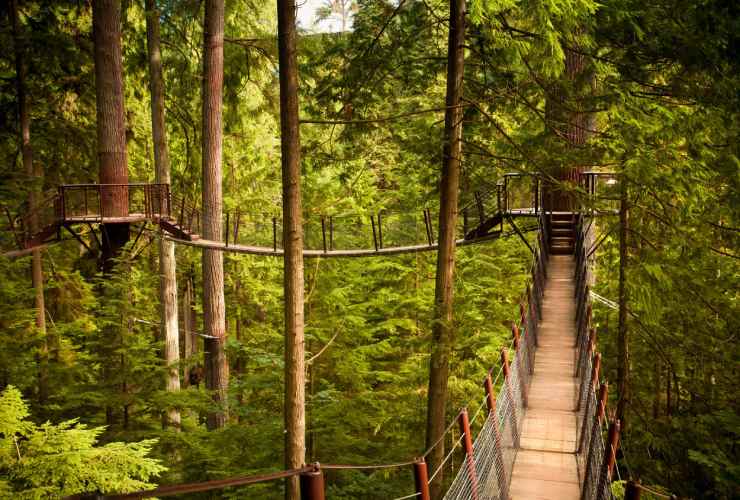 Ponte sospeso del Capilano Suspension Bridge