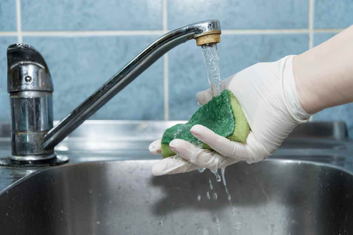 Le spugnette per piatti non sono il massimo dell’igiene: come sostituirle (subito)