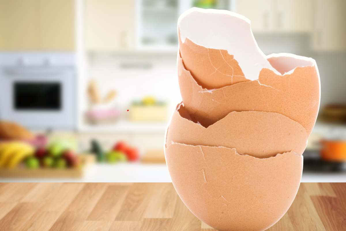 Come riciclare i gusci delle uova, non gettarli: il trucco geniale