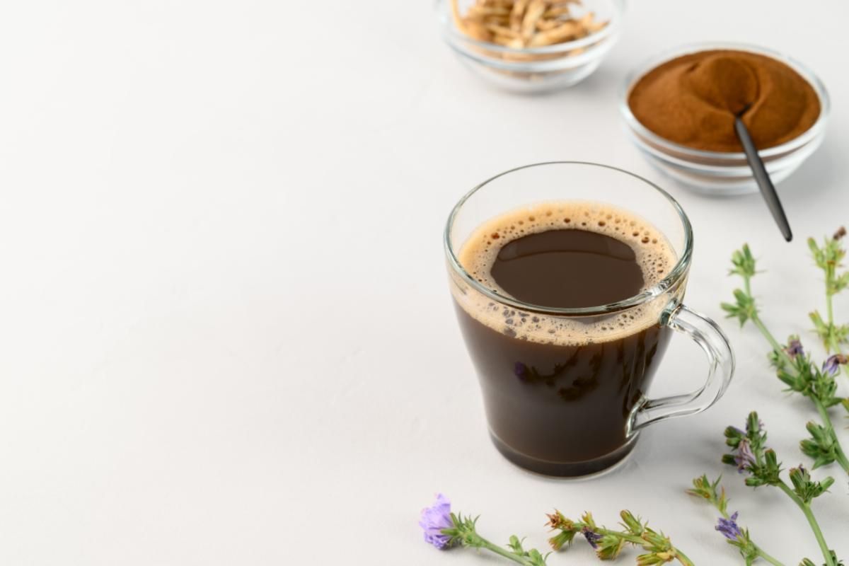 I benefici del caffè di cicoria: ecco tutto quello che c’è da sapere