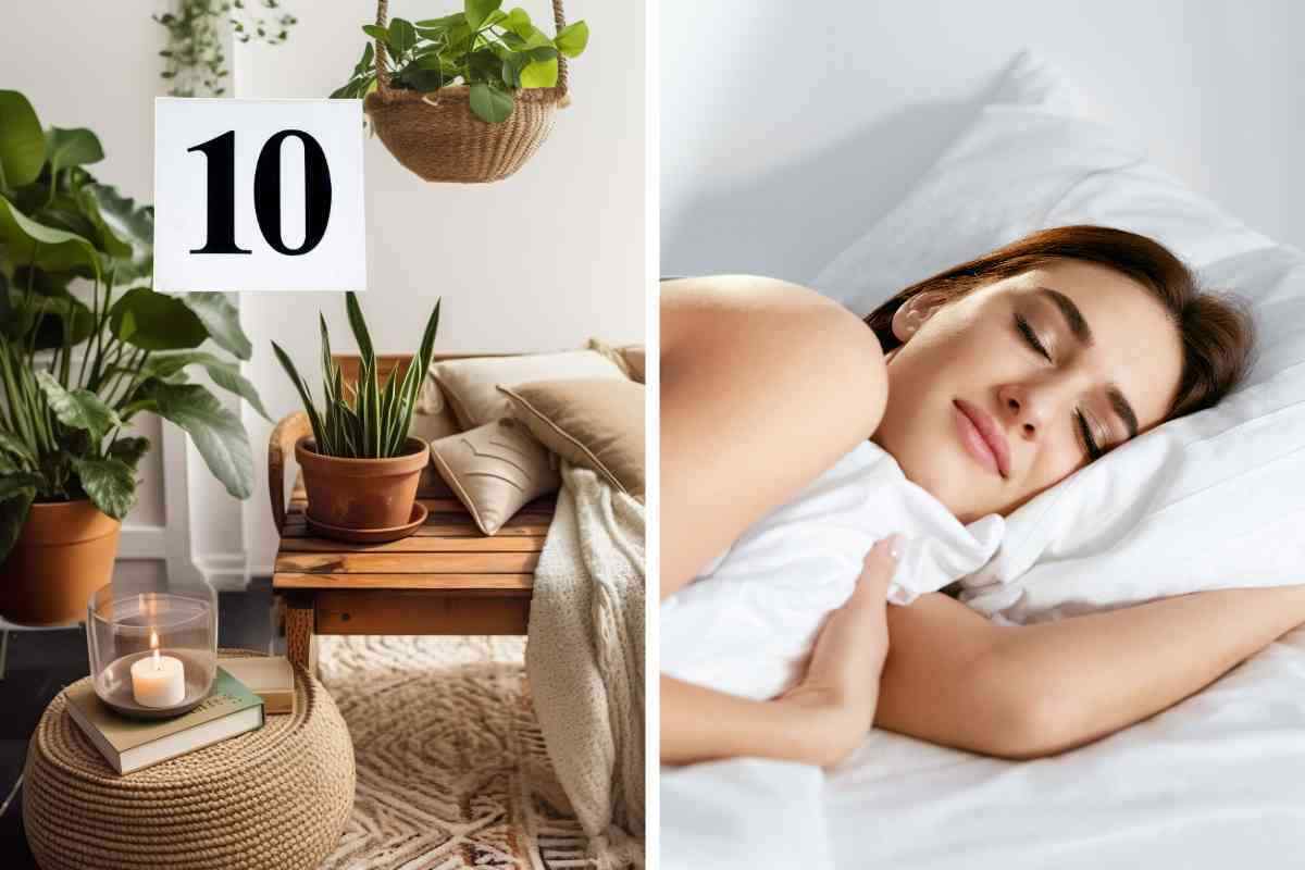 10 tipi di piante da mettere nella camera da letto che conciliano il sonno: così vi sveglierete riposati come una rosa