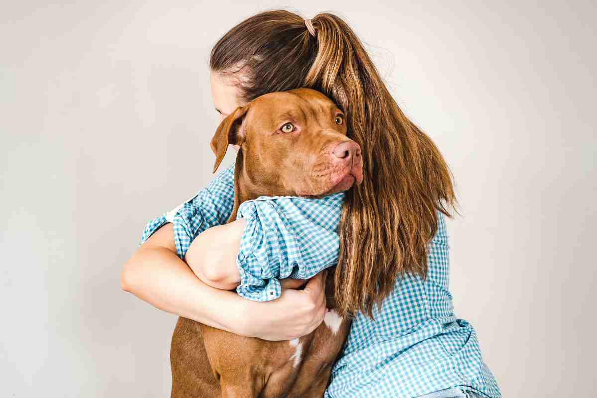 “Poi dicono che i cani non capiscono”: Ariel esaudisce tutte le richieste della padrona, la sua obbedienza è toccante