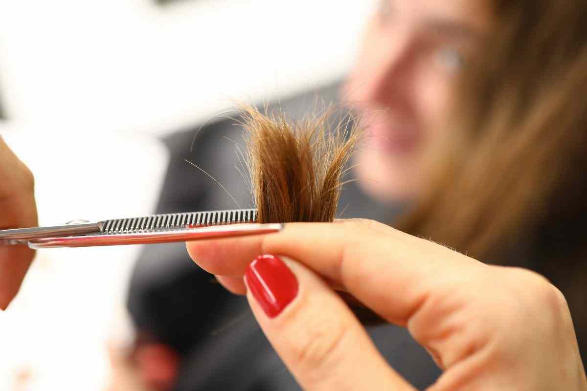 Le doppie punte possono essere prevenute con tagli regolari che impediscono la risalita del danno al fusto