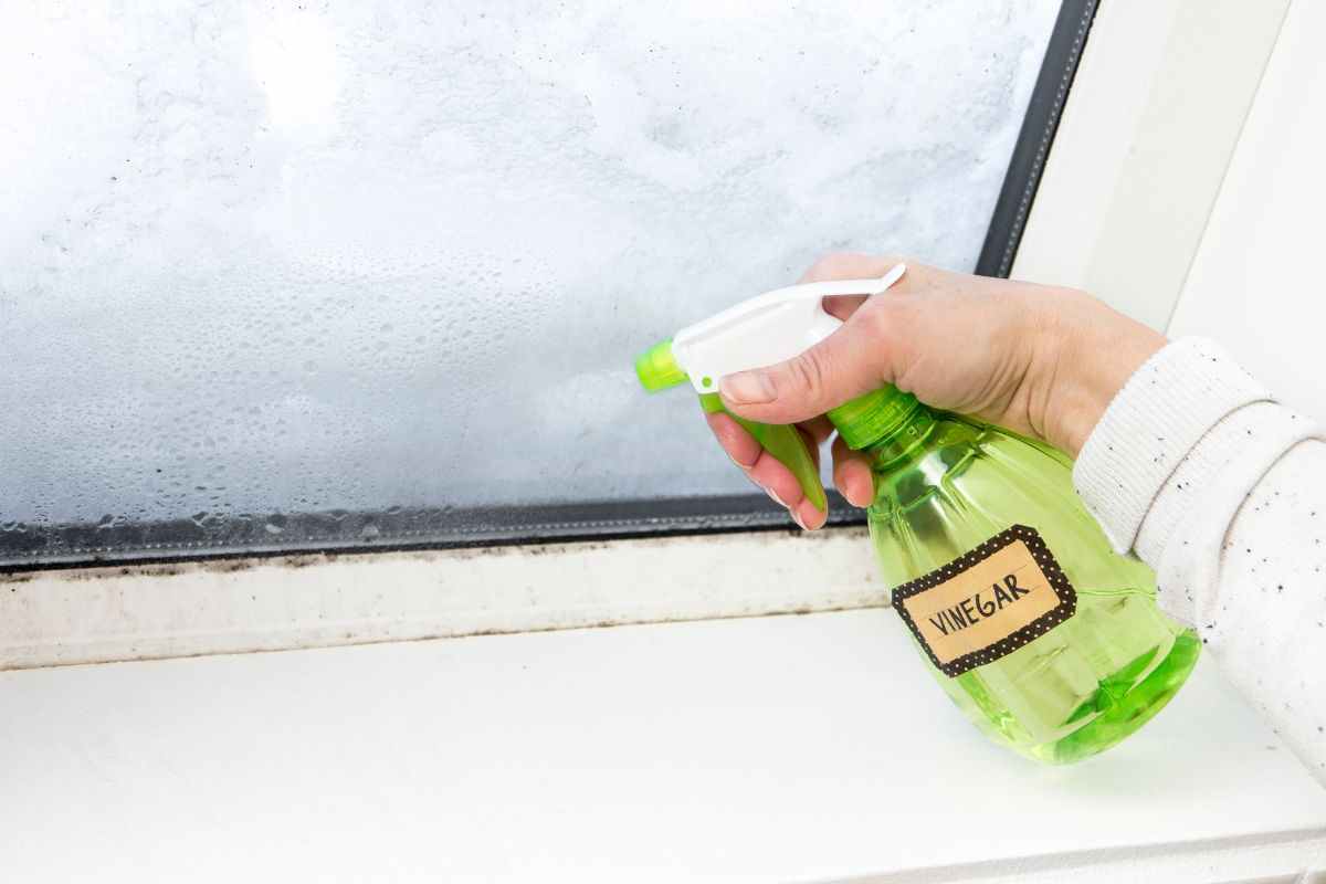 La muffa si può prevenire