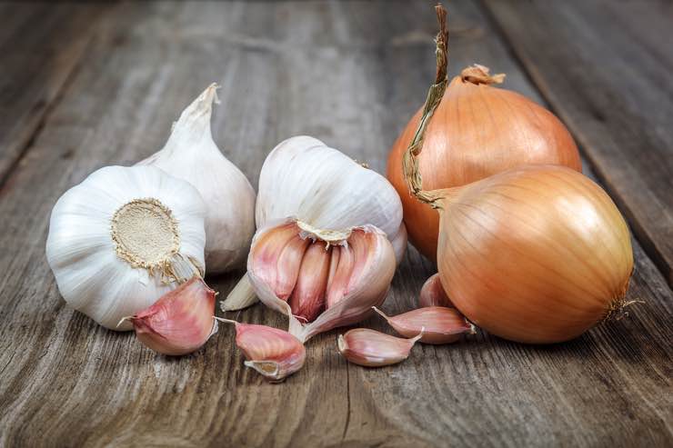 Aglio e cipolla: come conservarli