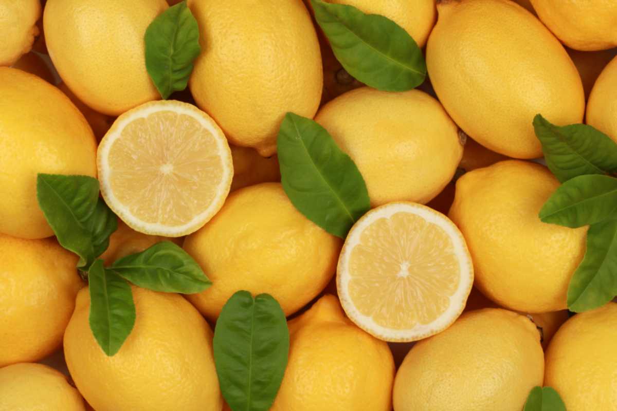 benefici del limone