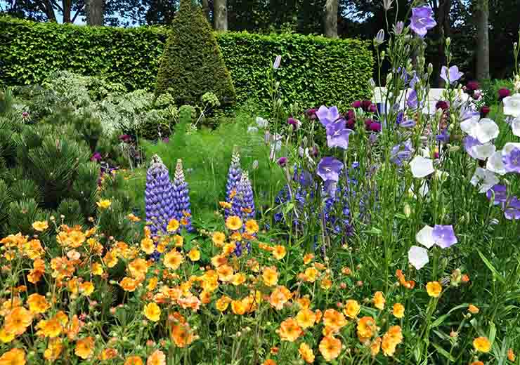 Giardino rigoglioso l'anno prossimo grazie alla potatura