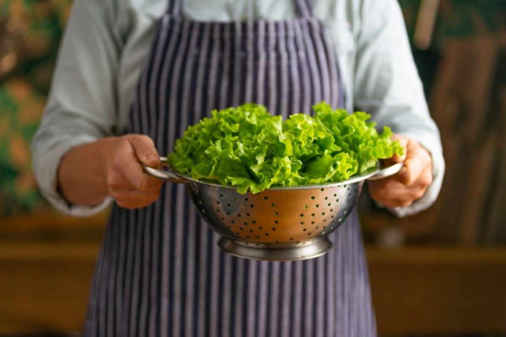 Verdure a foglia larga