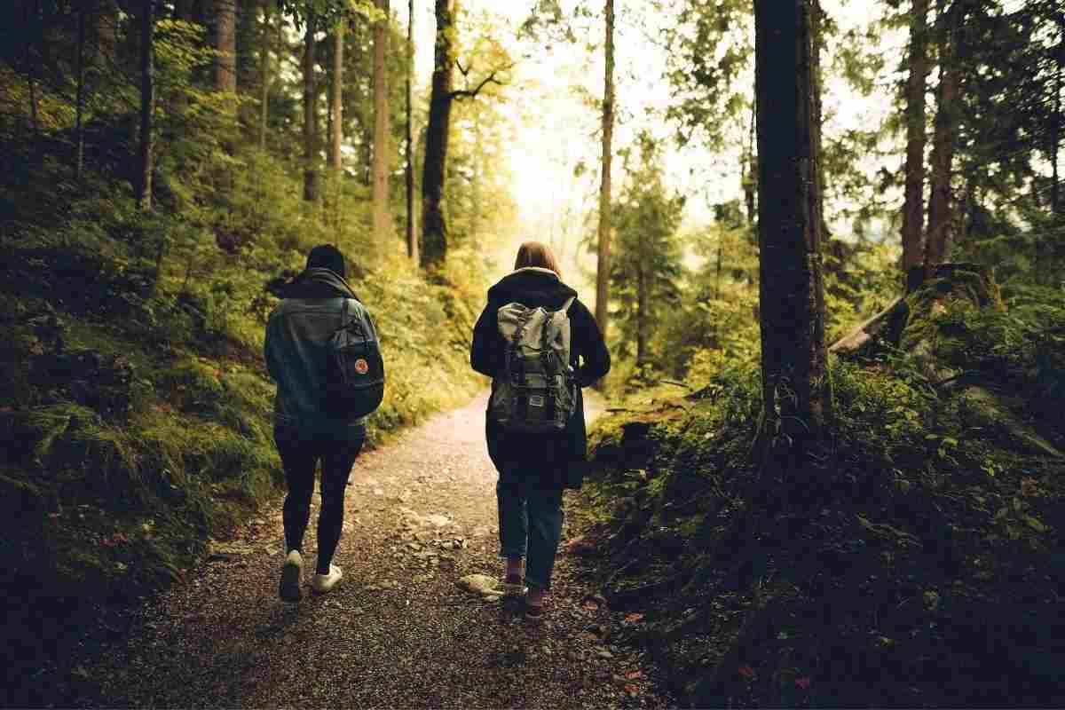 Un incontro davvero molto speciale nel bosco: l’emozionante video