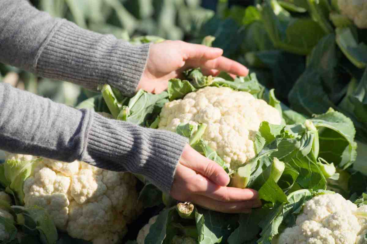 Se non ti piace il cavolfiore dovrai ricrederti: è talmente miracoloso che non potrai più farne a meno