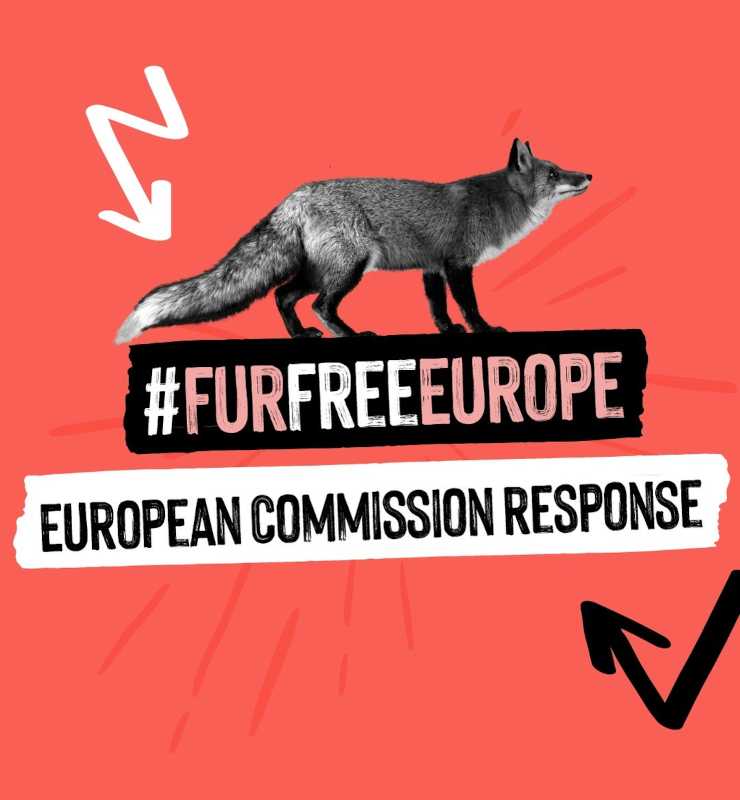 Iniziativa dei cittadini Fur Free Europe