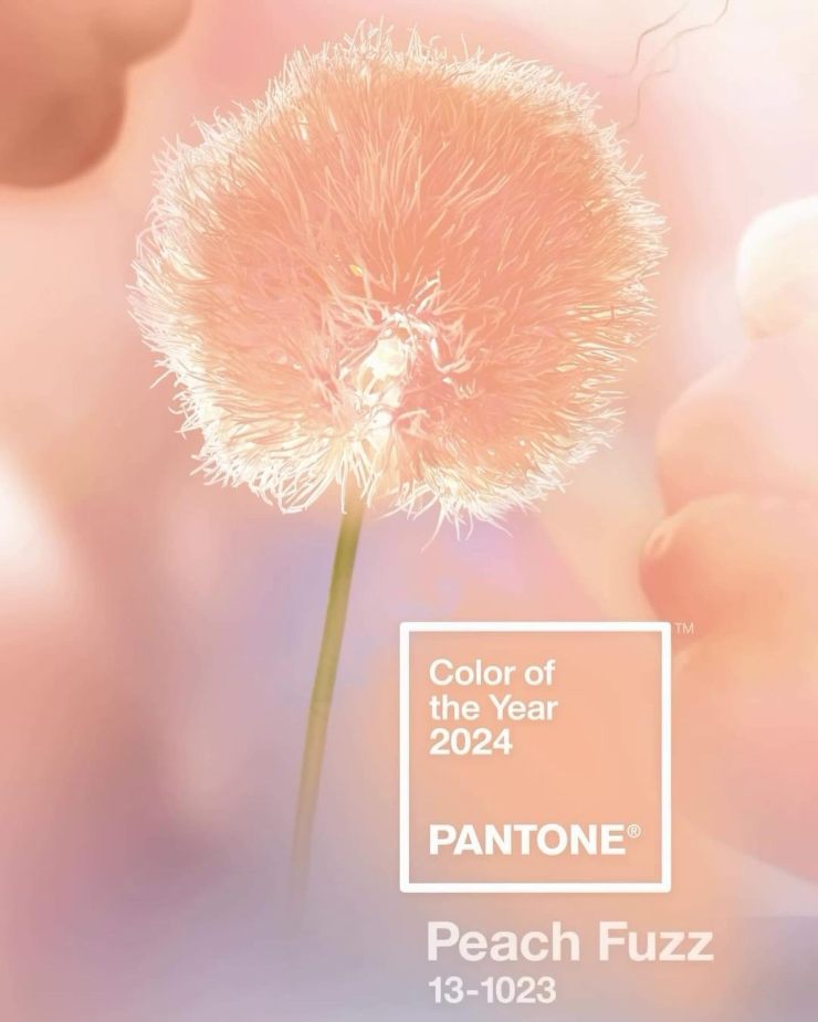 Colore Pantone 2024 Peach Fuzz