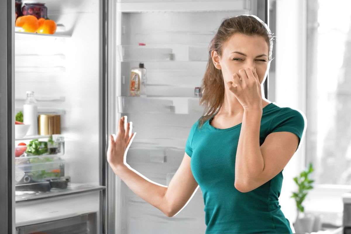 Addio ai cattivi odori del frigorifero: il metodo semplice che funziona davvero