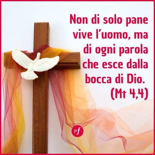 frase vangelo 