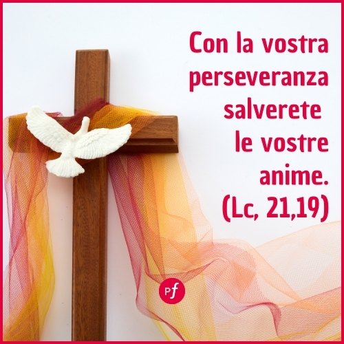 frase Vangelo