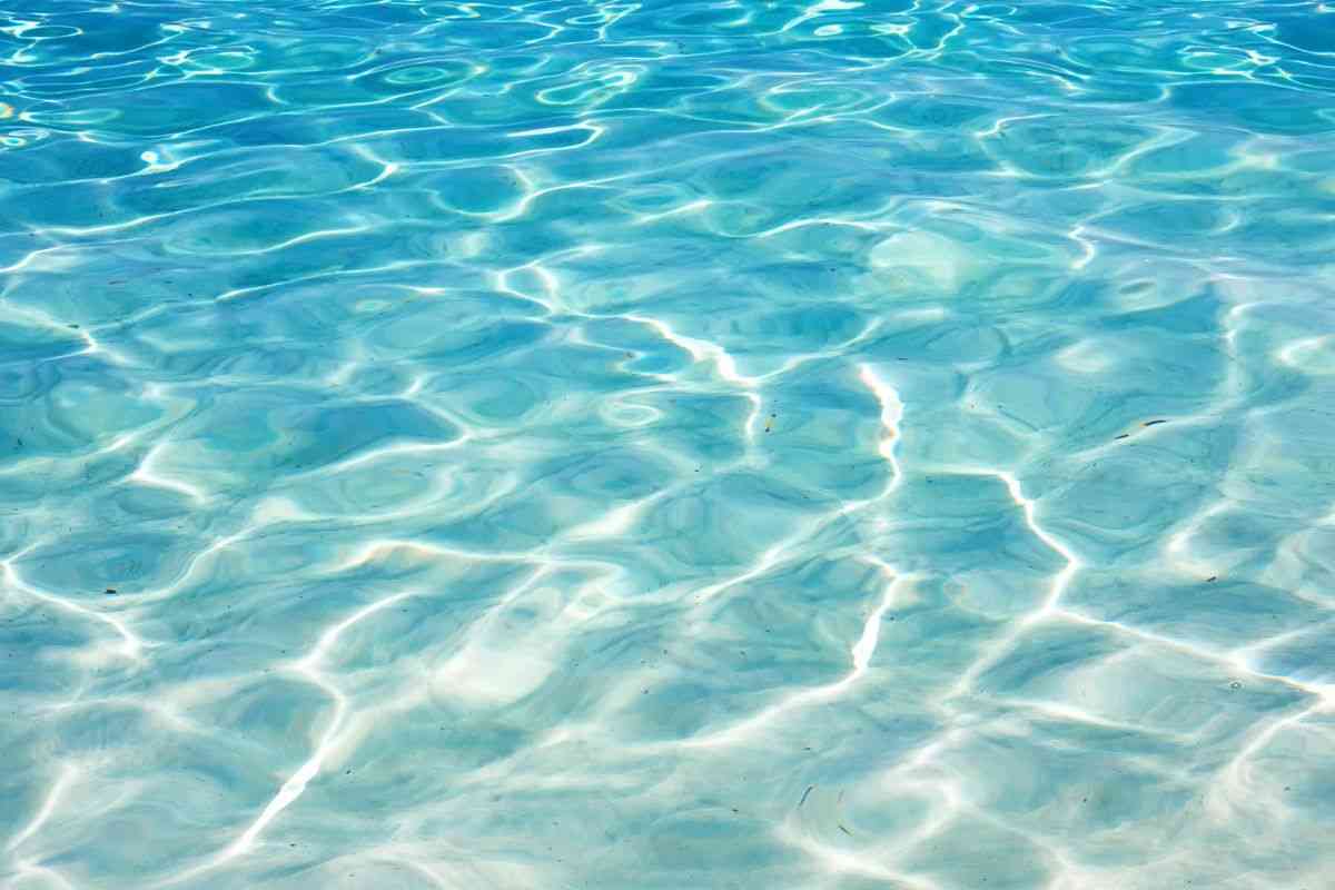 mare