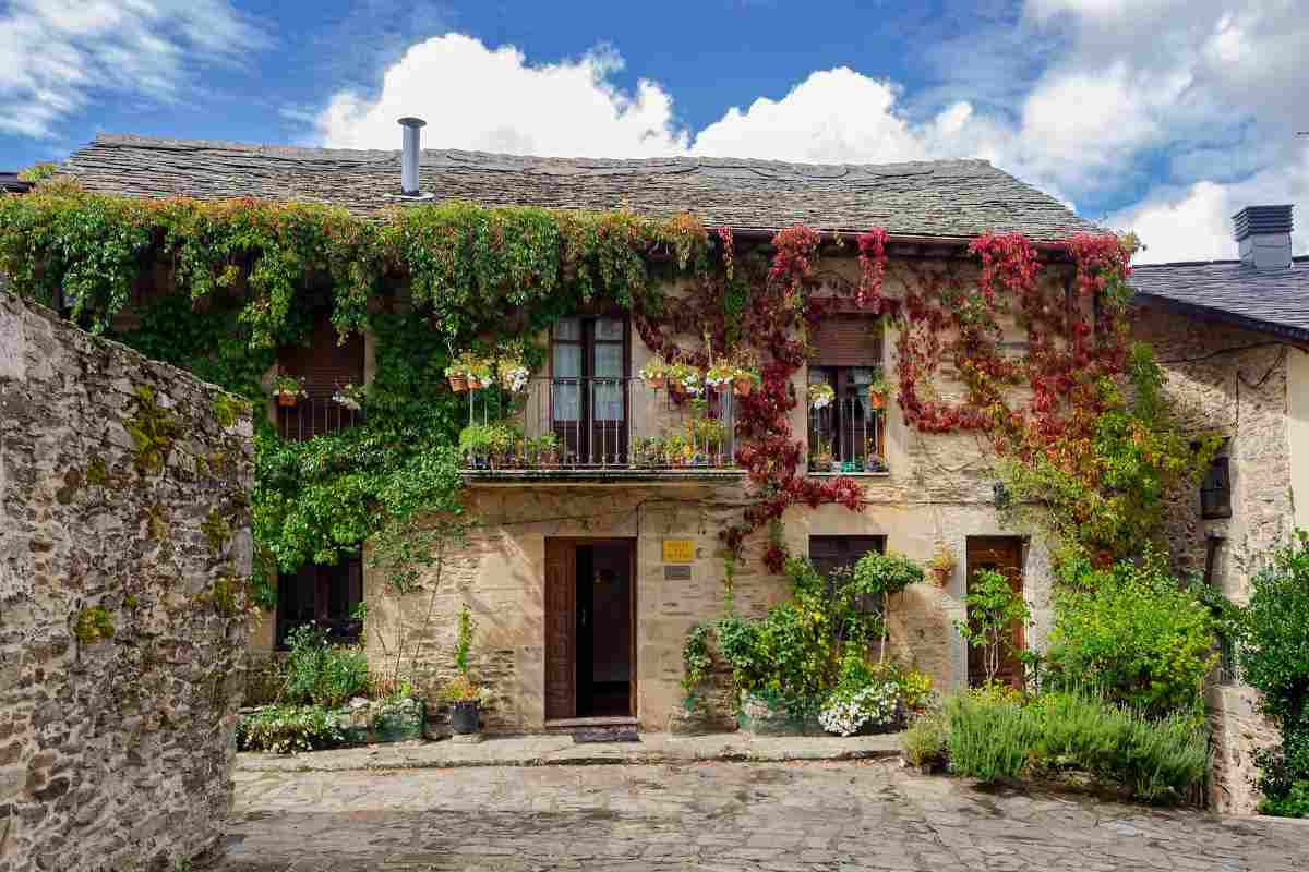 casa con piante rampicanti