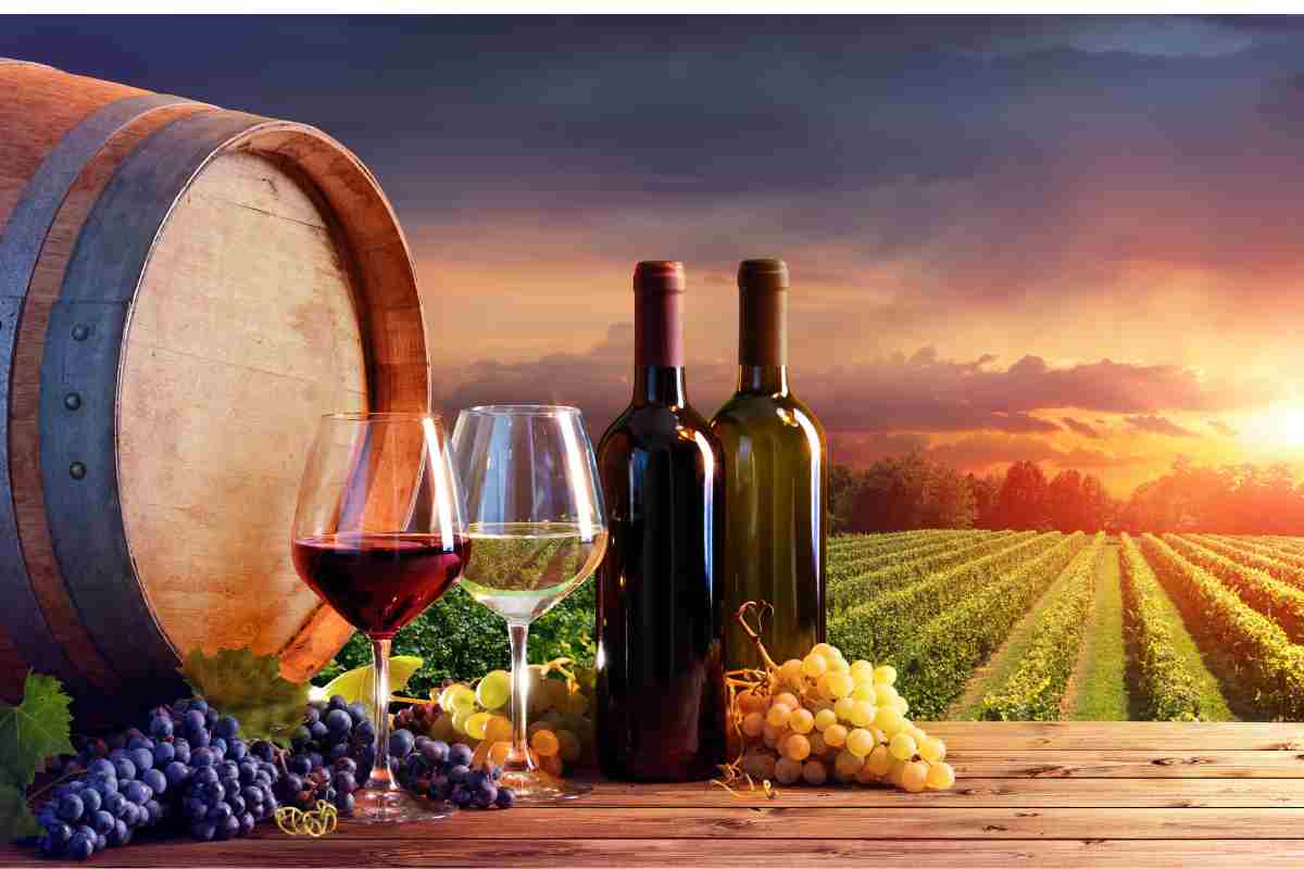 botte di vino, uva, calici e bottiglie