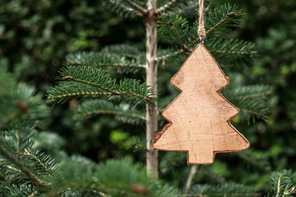 Addobbi di Natale in legno: quali prendere | Pourfemme