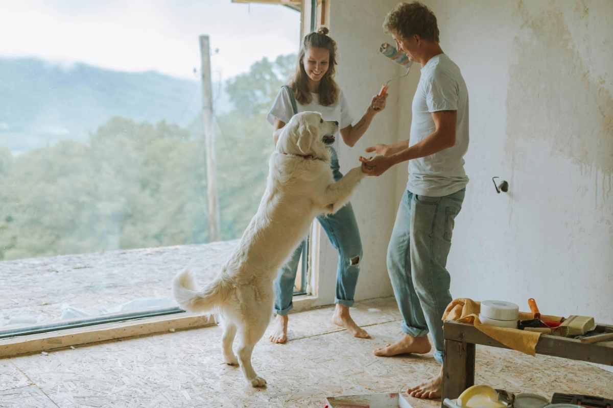 Una coppia felice con un cane in un appartamento in ristrutturazione