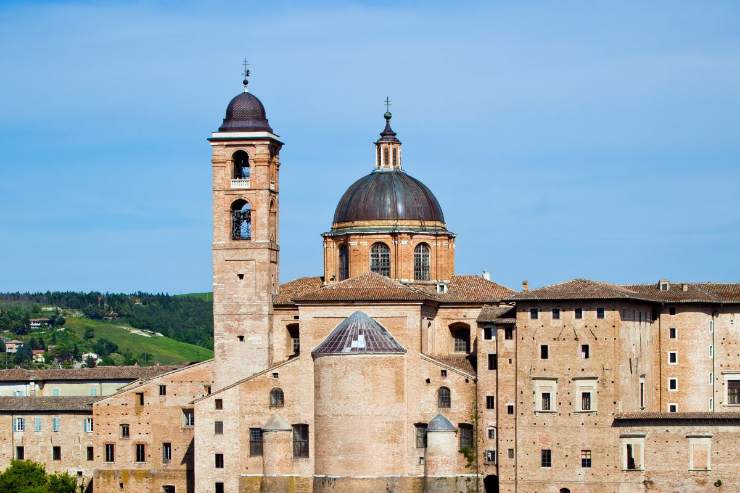 Urbino