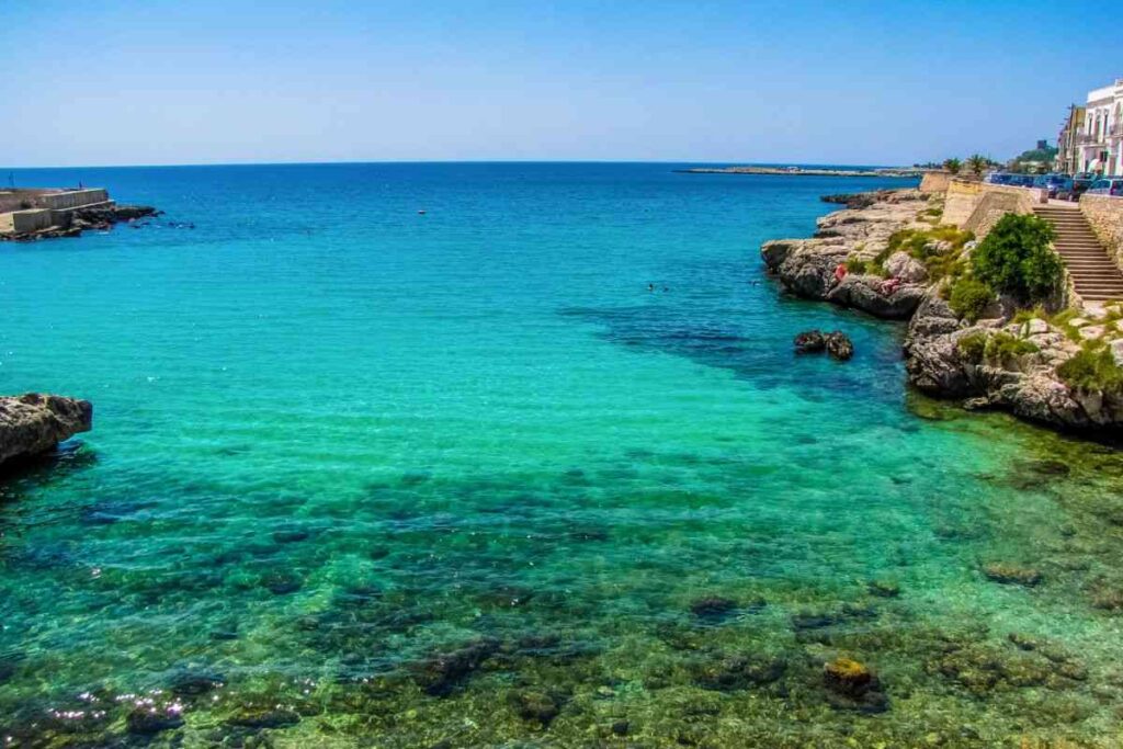 mare