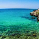 mare