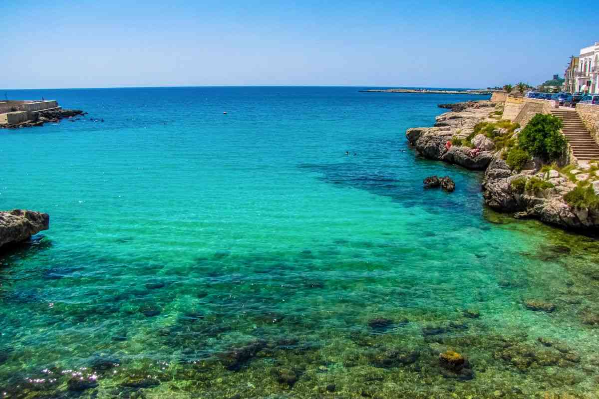 mare