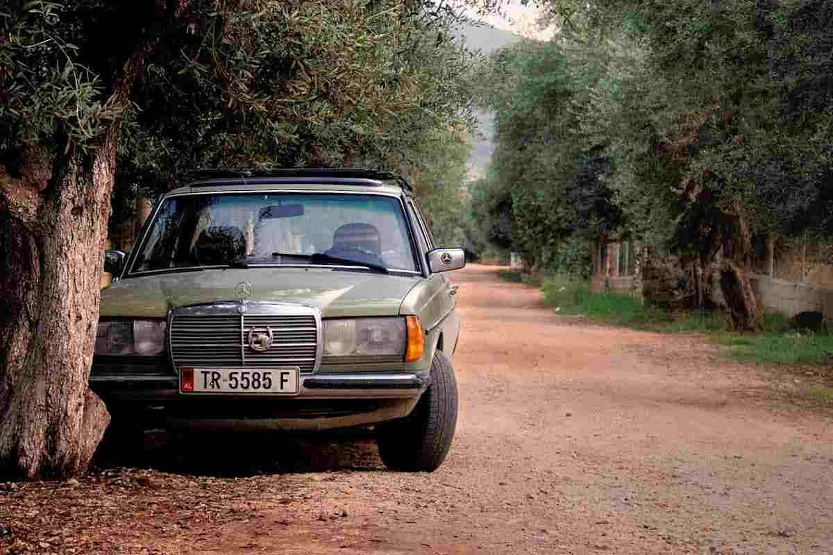Automobile ferma in una strada deserta con alberi e foglie a terra