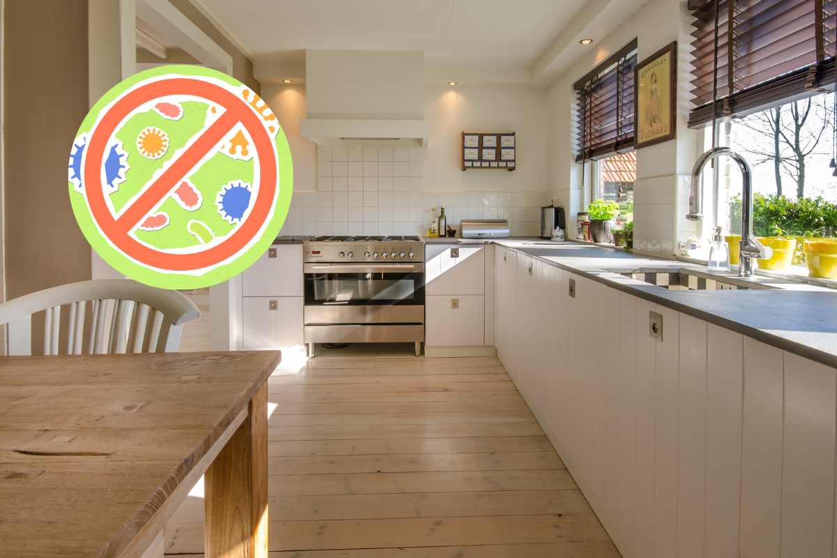 Cucina grande e pulita