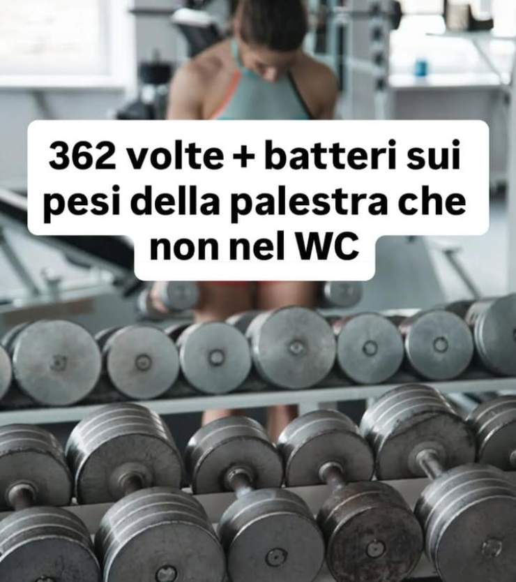 Batteri sui pesi