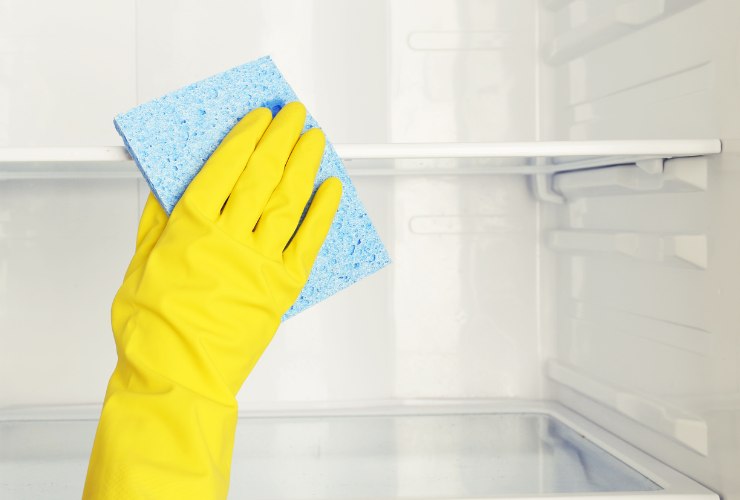 Donna che pulisce il freezer scongelato