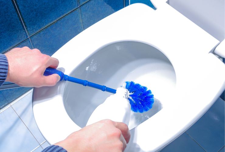 Scopino nel wc