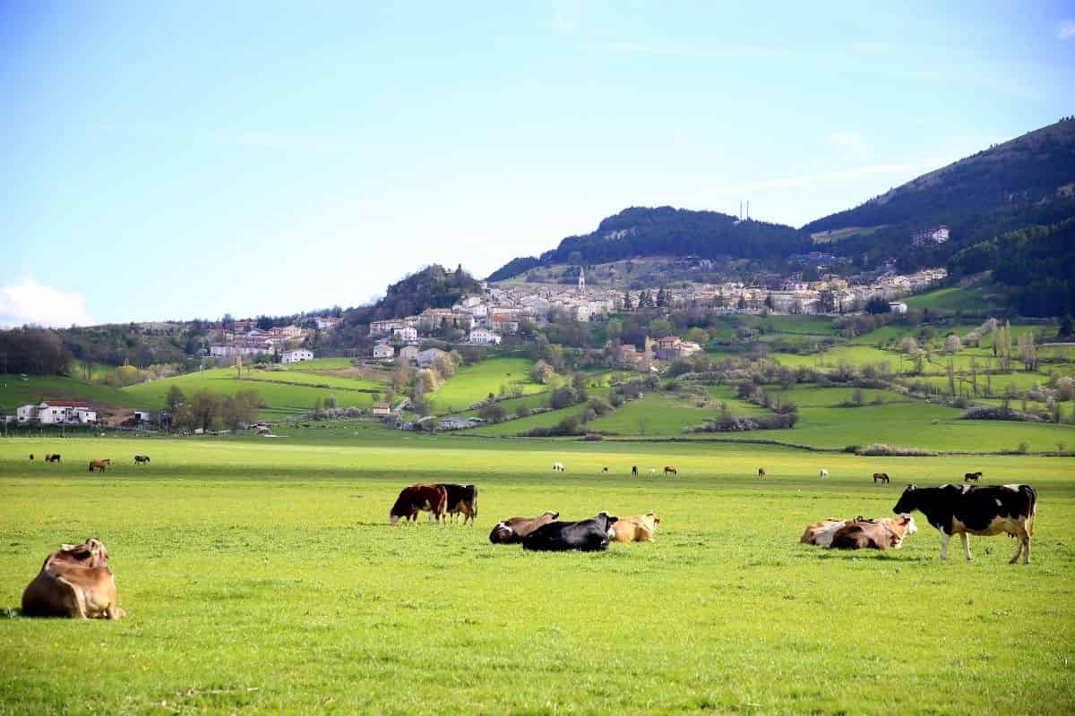 Pescocostanzo