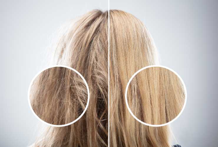 Basta capelli grassi rimedi che funzionano - Pourfemme.it