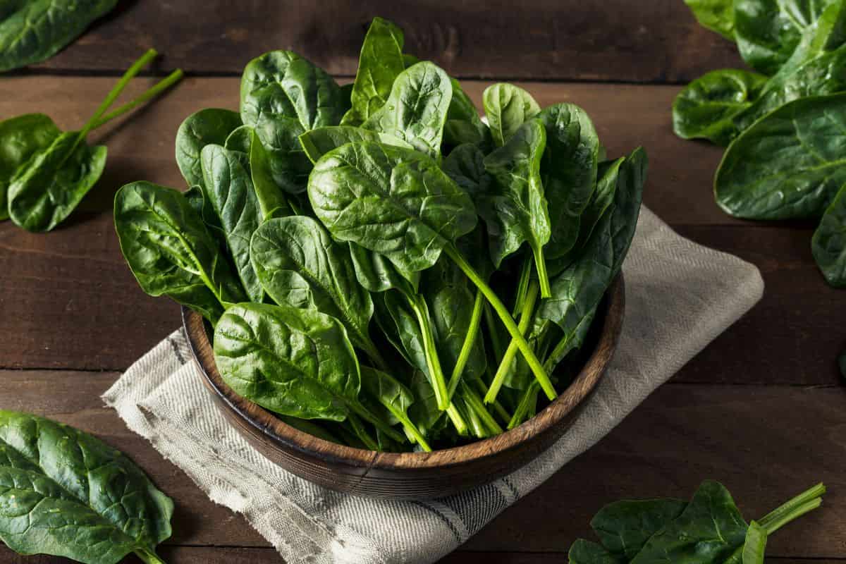 spinaci