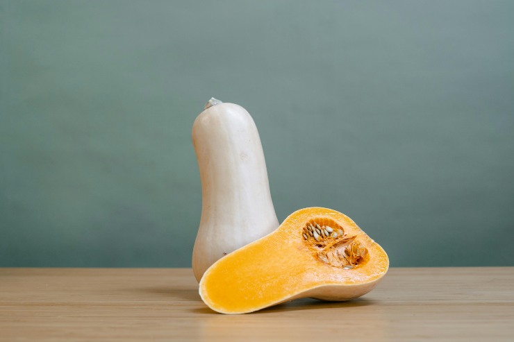 zucca tagliata