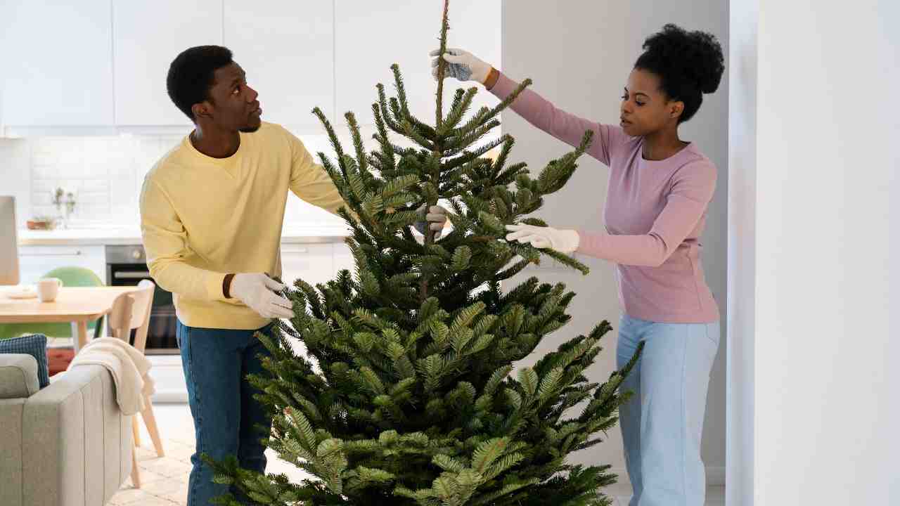 Pulire l'albero di natale pourfemme.it