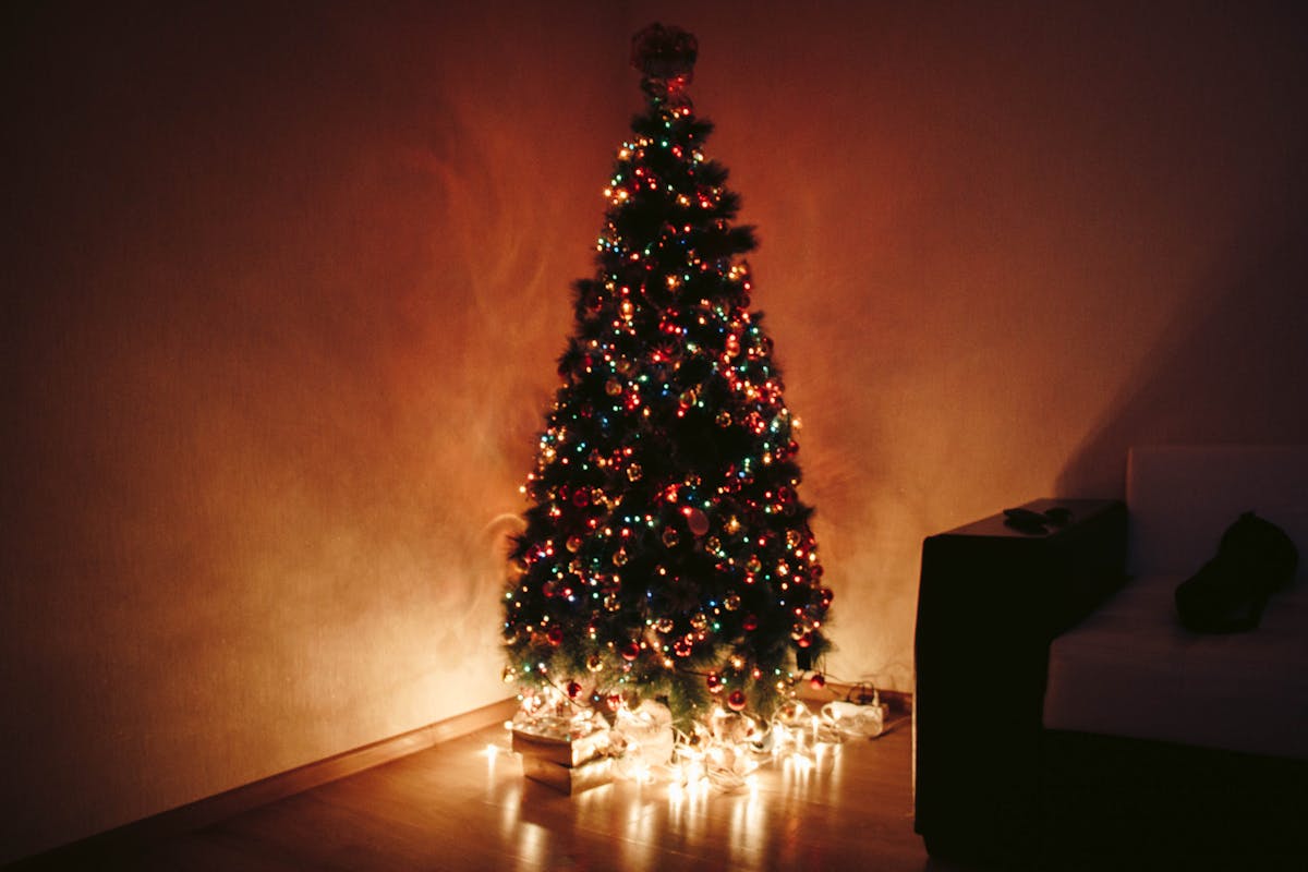 albero di natale illuminato fondo stanza