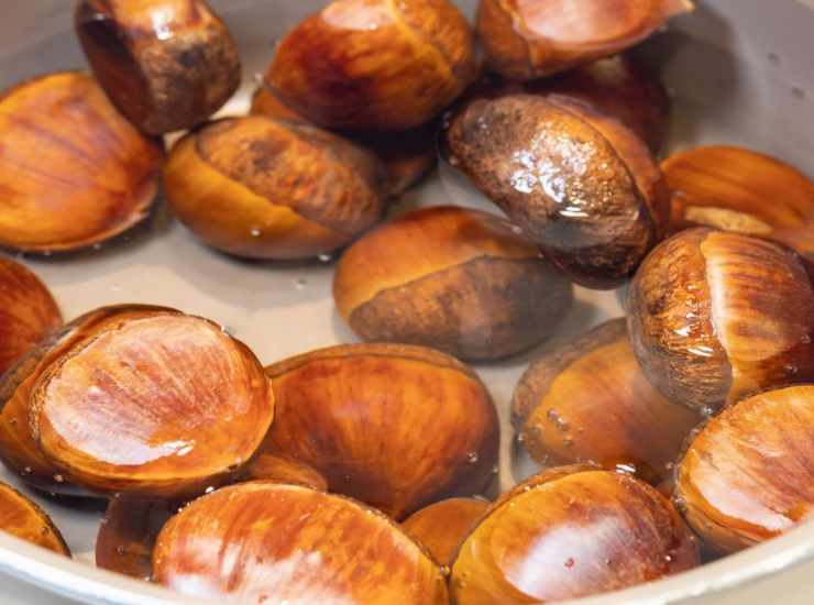 castagne in ammollo